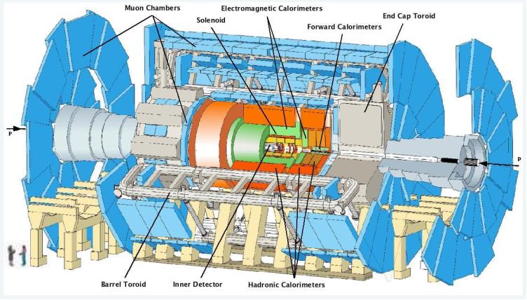 ATLAS Detector  Source: CERN